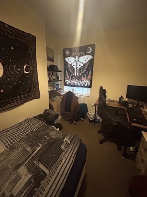 Photo 6- click for photo gallery